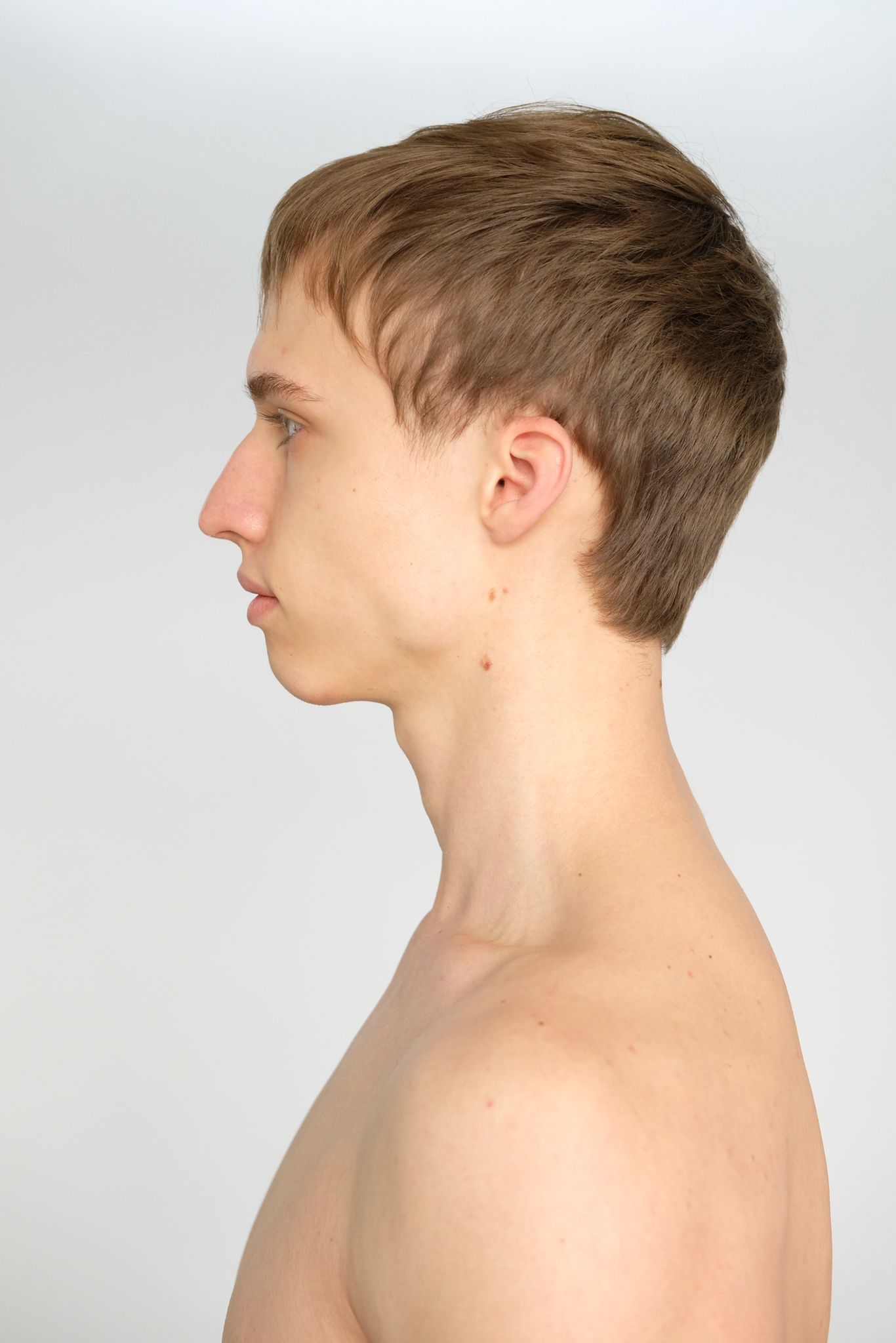 Digitals