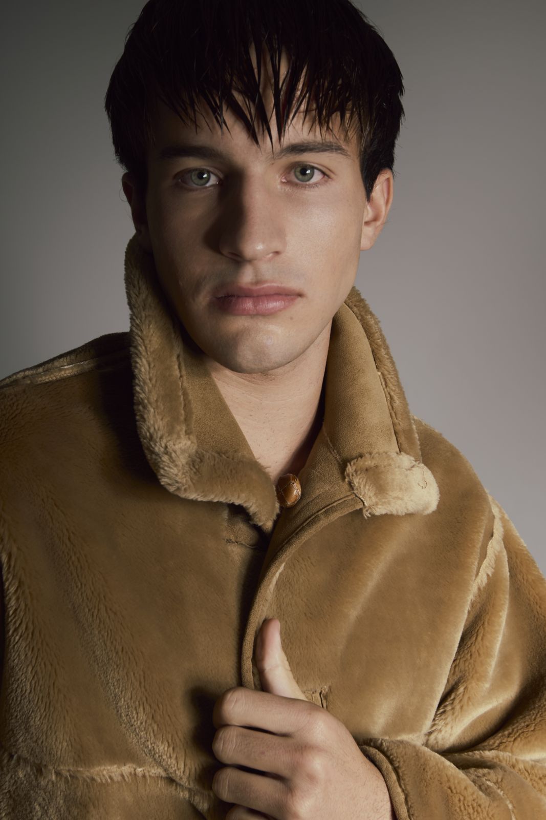 Dimitri Co.